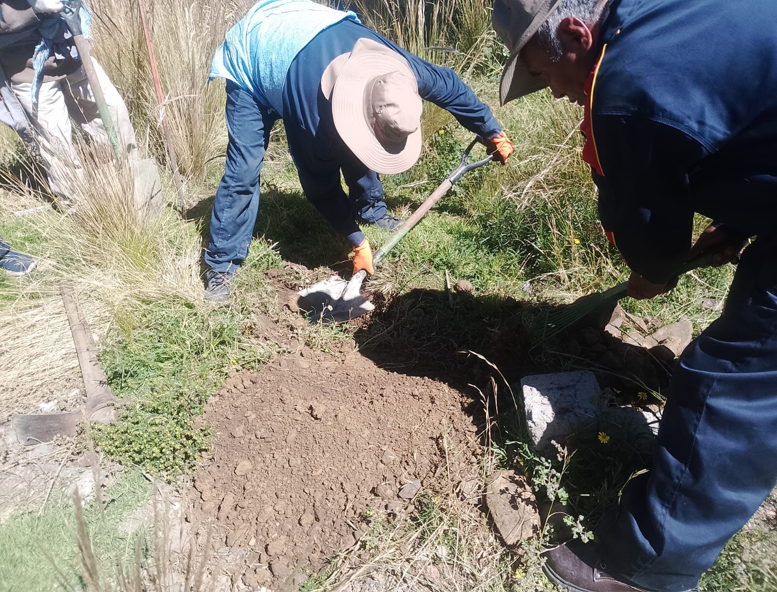 MÁS DE 900 MUJERES DEL PROGRAMA PLANE III FINANCIADO POR FONABOSQUE REALIZO LA FORESTACIÓN DE 2.000 HECTÁREAS EN EL PAÍS 