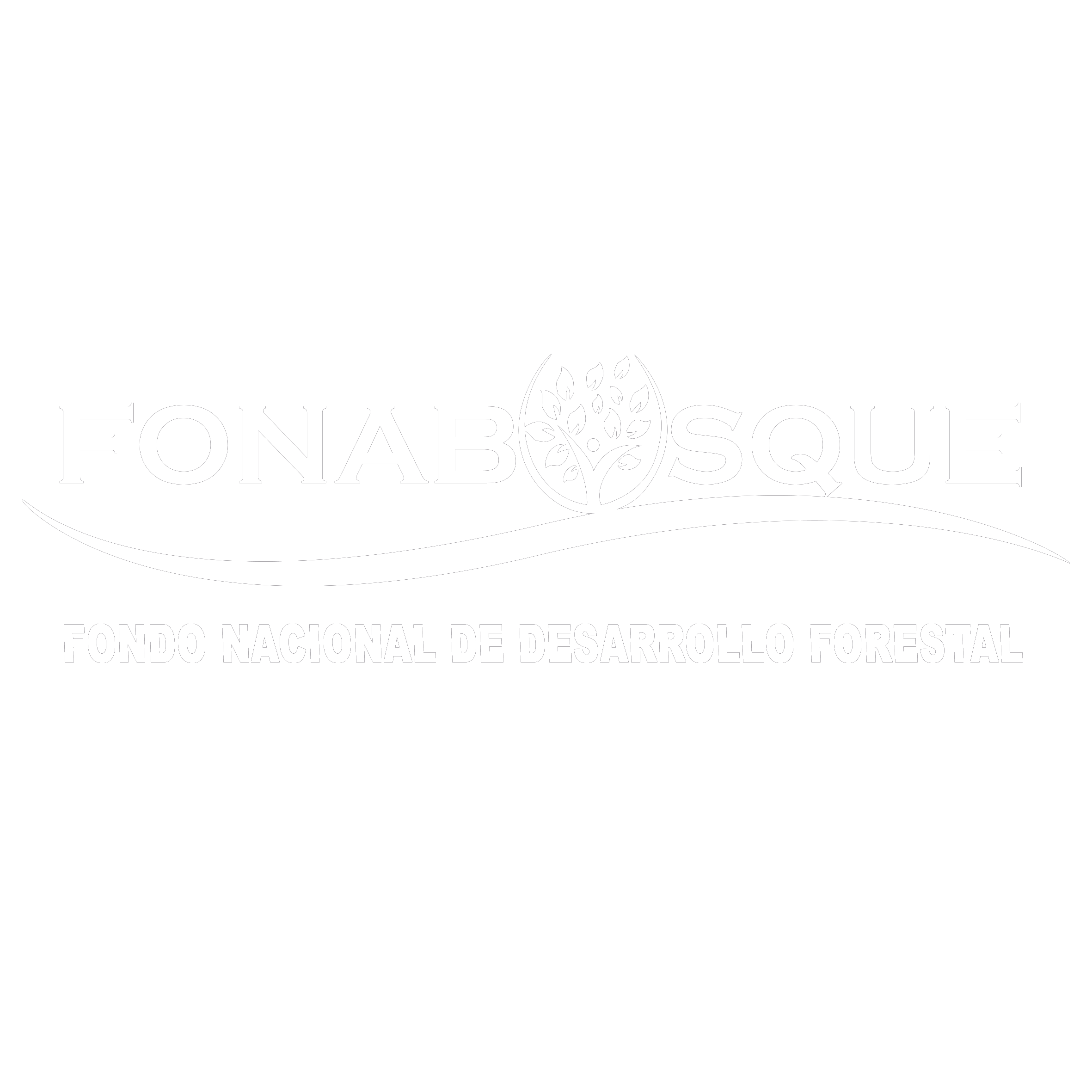 FONDO NACIONAL DE DESARROLLO FORESTAL