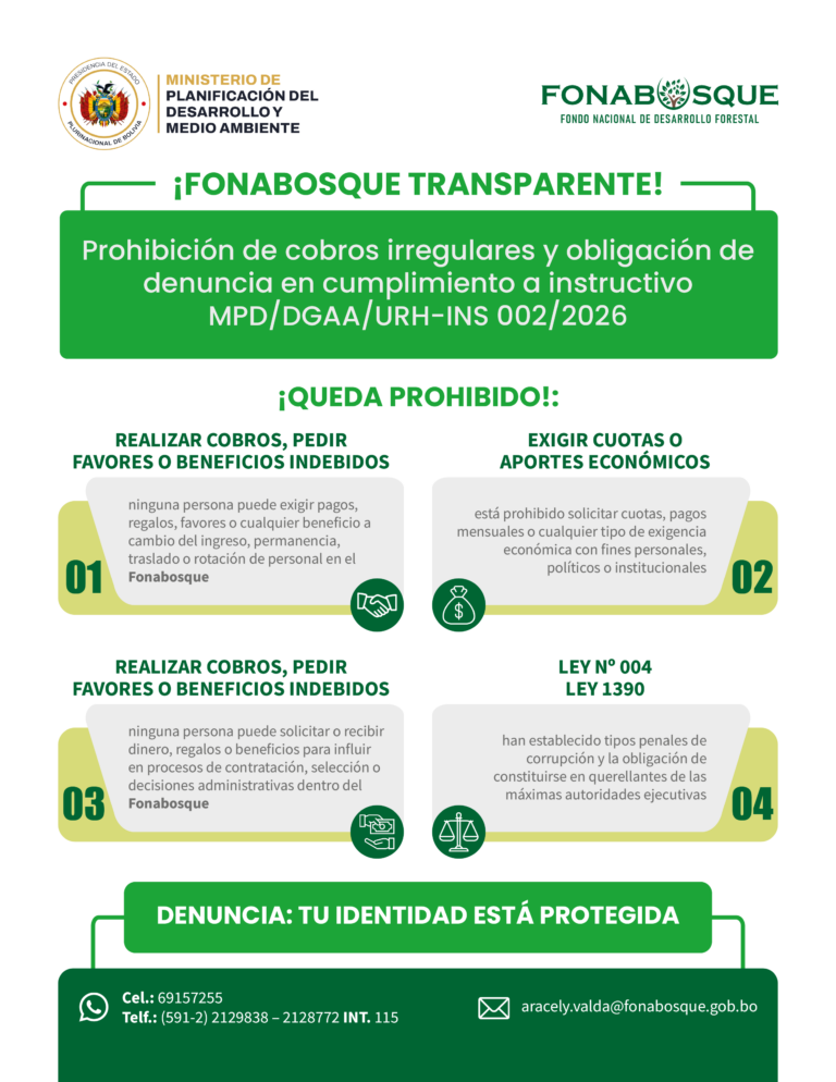 Imagen superior